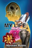 My Life My Life