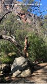 Australien - Das Land unserer Träume (eBook, ePUB) Australien - Das Land unserer Träume (eBook, ePUB)