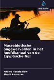 Macrobiotische ongewervelden in het hoofdkanaal van de Egyptische Nijl Macrobiotische ongewervelden in het hoofdkanaal van de Egyptische Nijl