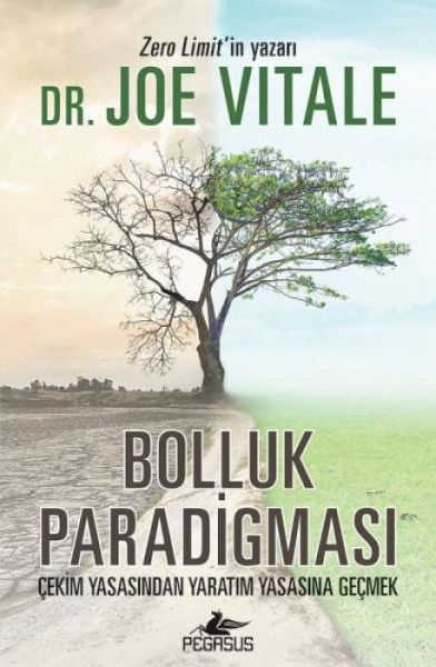 Bolluk Paradigmasi