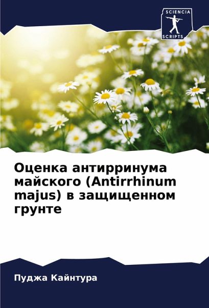 Ocenka antirrinuma majskogo (Antirrhinum majus) w zaschischennom grunte