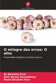 O milagre das ervas: O alho O milagre das ervas: O alho