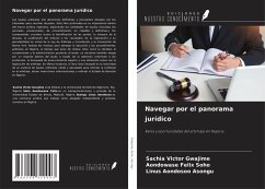 Cover Navegar por el panorama jurídico