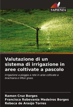 Valutazione di un sistema di irrigazione in aree coltivate a pascolo - Borges, Ramon Cruz;Medeiros Borges, Francisca Robevania;Torres, Rebeca de Araújo