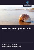 Nanotechnologie: Inzicht