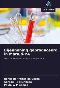 Cover Bijenhoning geproduceerd in Marajó-PA