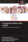 Il miracolo delle erbe: L'aglio