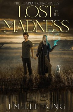 Cover Lost in the Madness
