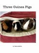 Three Guinea Pigs - Bild 1