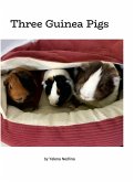 Three Guinea Pigs Three Guinea Pigs