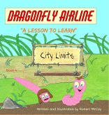 Dragonfly Airline - "A Lesson to Learn" Dragonfly Airline - "A Lesson to Learn"