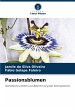 Passionsblumen - Bild 1