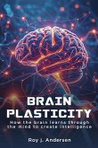 Brain Plasticity Brain Plasticity