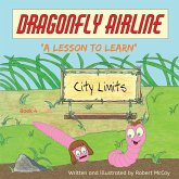 Dragonfly Airline - "A Lesson to Learn" Dragonfly Airline - "A Lesson to Learn"