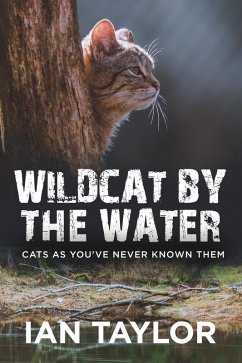 Cover Wildcat By The Water (eBook, ePUB)