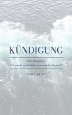Kündigung (eBook, ePUB)