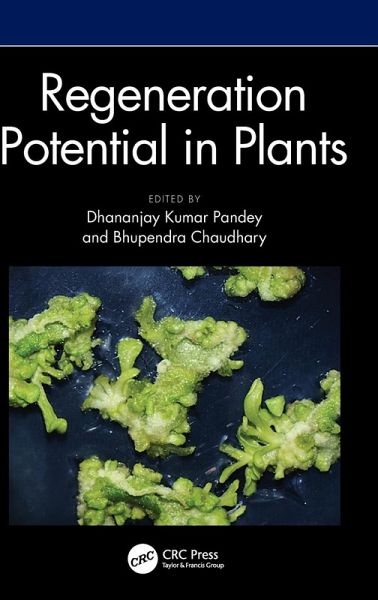 Regeneration Potential in Plants