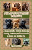 Labrador Retriever Insights Labrador Retriever Insights