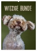 Witzige Hunde (Wandkalender 2025 DIN A2 hoch), CALVENDO Monatskalender