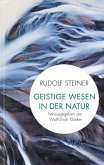 Geistige Wesen in der Natur Geistige Wesen in der Natur