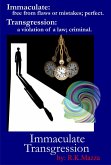 Immaculate Transgression (eBook, ePUB)