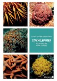 Stachelhäuter indopazifischer Korallenriffe (eBook, PDF) Stachelhäuter indopazifischer Korallenriffe (eBook, PDF)