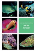 Fische indopazifischer Korallenriffe (eBook, PDF) Fische indopazifischer Korallenriffe (eBook, PDF)