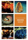 Weichtiere indopazifischer Korallenriffe (eBook, PDF) Weichtiere indopazifischer Korallenriffe (eBook, PDF)