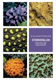 Steinkorallen indopazifischer Korallenriffe (eBook, PDF) Steinkorallen indopazifischer Korallenriffe (eBook, PDF)