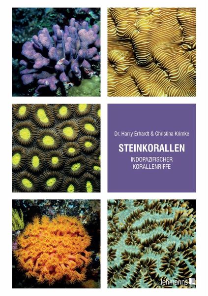 Steinkorallen indopazifischer Korallenriffe (eBook, PDF)