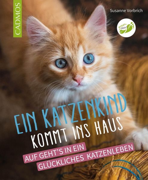 Ein Katzenkind kommt ins Haus (eBook, ePUB)