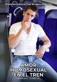 Amor Homosexual en el Tren (eBook, ePUB)