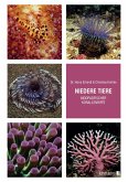 Niedere Tiere indopazifischer Korallenriffe (eBook, PDF) Niedere Tiere indopazifischer Korallenriffe (eBook, PDF)