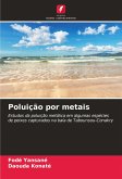 Poluição por metais
