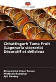 Chhattisgarh Tuma Fruit (Lagenaria siceraria) Décoratif et délicieux