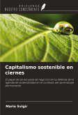 Capitalismo sostenible en ciernes Capitalismo sostenible en ciernes