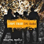 Light From The Dark Light From The Dark