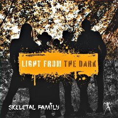 Cover Light From The Dark
