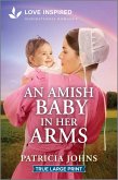 An Amish Baby in Her Arms An Amish Baby in Her Arms