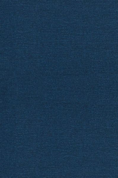 Holistic Healing Holistic Healing