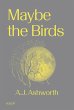 Maybe the Birds - Bild 1