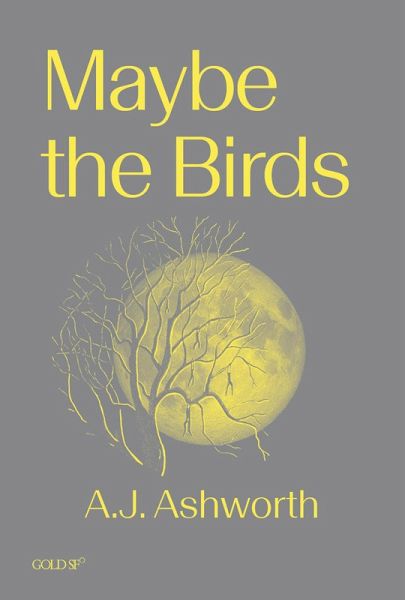 Maybe the Birds Maybe the Birds