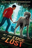 At the Edge of Lost At the Edge of Lost