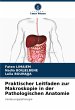 Praktischer Leitfaden zur Makroskopie... - Bild 1