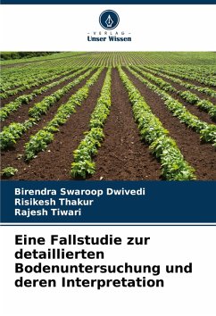 Cover Eine Fallstudie zur detaillierten Bodenuntersuchung und deren Interpretation