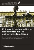 El impacto de las políticas neoliberales en las estructuras familiares El impacto de las políticas neoliberales en las estructuras familiares