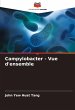 Campylobacter - Vue d'ensemble - Bild 1