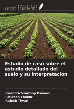 Estudio de caso sobre el estudio detallado del suelo y su interpretación Cover Estudio de caso sobre el estudio detallado del suelo y su interpretación