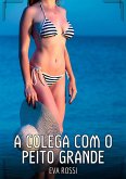 A Colega com o Peito Grande (eBook, ePUB)