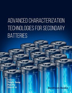 Advanced Characterization Technologies for Secondary Batteries (eBook, ePUB)